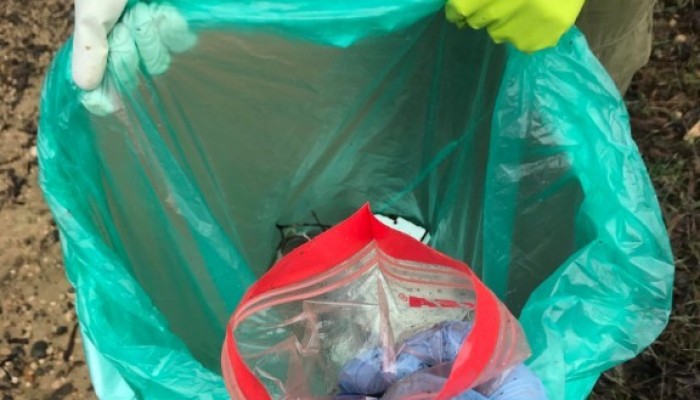 Eco-School - Clean up event